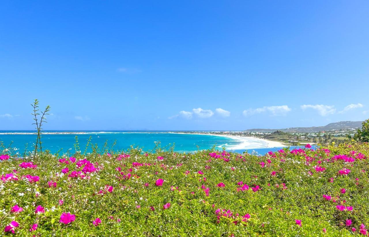 Appartamento Front Line Unit 520 Ft2 - 48 M2, On Second Floor, Stunning Ocean View Cul de Sac Esterno foto